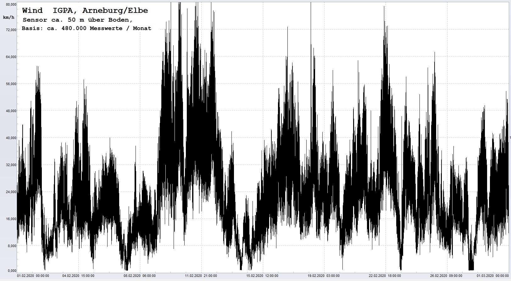 Arneburg Histogramm Winddaten Monat Februar 2020, 
  Sensor auf Gebude, ca. 50 m ber Erdboden, Basis: 5s-Aufzeichnung